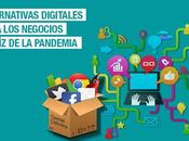 Alternativas digitales para negocios raíz pandemia
