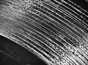 Último avance "Infernales, tóxicos demás parásitos": "Disco Rayado"