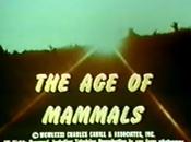 Mammals (1981)