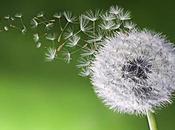 poder real mundo efímero