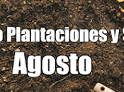 Calendario Plantaciones Siembra Agosto