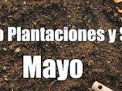 Calendario Plantaciones Siembra Mayo