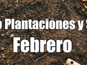 Calendario Plantaciones Siembra Febrero