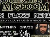 Infected Mushroom Jonathan Davis (Korn) México