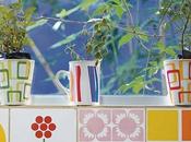 Tazas para nuestras plantas