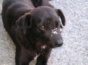 Negri quedado solo calle.