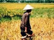 Tradiciones Viet Nam: ¿Qué evitar viaje?