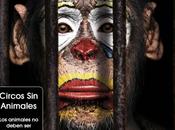 Circos Animales