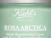 Rosa Arctica Kiehl's