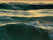 «Cien años bastan» Vanessa Requena Fernández