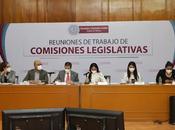 Aprueban comisiones integral protección periodista defensores derechos humanos