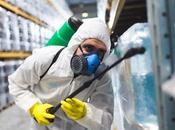 cierre prolongado negocios hostelería fomenta aparición plagas, afirma Servicios