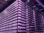 Granja vertical Copenhague reinventa alimentos sostenibles