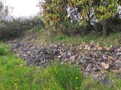 Castro Finolledo, ruta sencilla acerca nuestro pasado