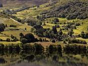 Escocia está convertirse primer país “recuperar” naturaleza