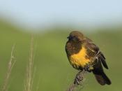 Parque Nacional Ciervo Pantanos (noviembre 2020)