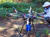 Drone Velutina, sistema rápido, seguro eficaz contra avispa asiática