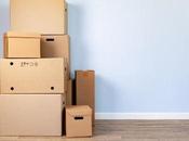 importancia escoger empresa profesional para realizar mudanza según Mudanzas