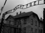 Horrores Segunda Guerra Mundial: Auschwitz