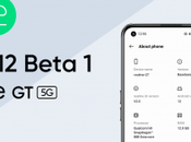 realme primero Android beta