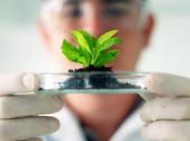 Biotecnología Ambiental