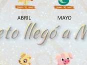 Meses Chinos