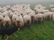 LORRA ayuda jóvenes emprender agro vizcaíno