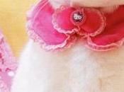 Hello Kitty vida real