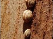 Buscando única verdad