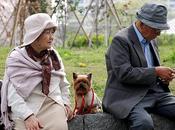 ¿Por esperanza vida Japón elevada?