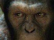 origen planeta simios” proceso (des)humanización
