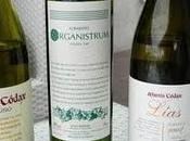 Bodegas Martín Codax, último chapuzón verano albariño!