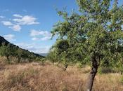 Bancos tierras