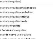 Diseño SEO: Puntos seguir para mejorarlo.