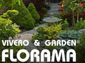 ¿Qué puede hacer decorador jardines?, Viveros FLORAMA