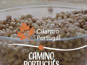 Estrella Galicia presenta ‘Estrella Camino’, cerveza edición limitada homenaje Xacobeo 2021-22