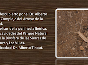 Biología Subterránea Jaén (VI)