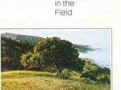 Michael Hedges Breakfast Field (1981)