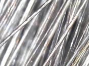 Piel pelos) bajo microscopio.