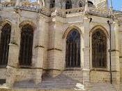Catedral Palencia. Cumple años. disfrute