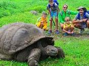 Vacaciones seguras naturaleza metropolitan touring