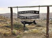 Puerto Pirámides