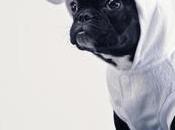 Impostor