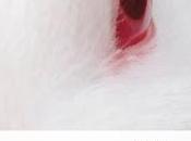 Reseña “Ofrendas”, Martínez Castillo