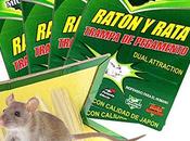 Trampa para ratones Leroy Merlin, mejor alternativa online