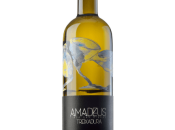 Amadeus Finca Cibrao 2019