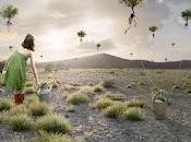 Alastair Magnaldo Visual Poetry