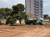Urbincasa inicia movimiento tierras construcción Residencial Seagardens Campoamor