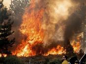 EEUU: mayor incendio activo California quemado casi hectáreas