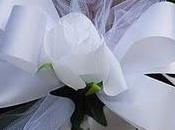 Decoración Pasillo hacia Altar